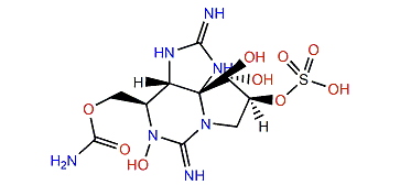 Gonyautoxin 4